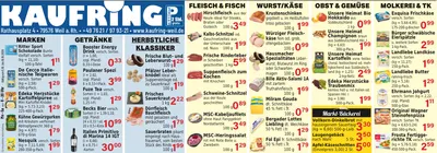 Vorschau des aktuellen Prospekts mit Lebensmittelangeboten