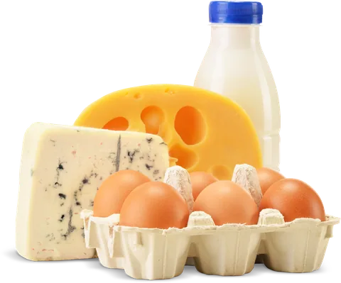Käse, Eier und eine Flasche Milch